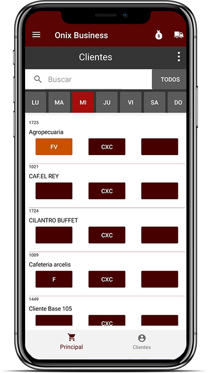 Onix Business App